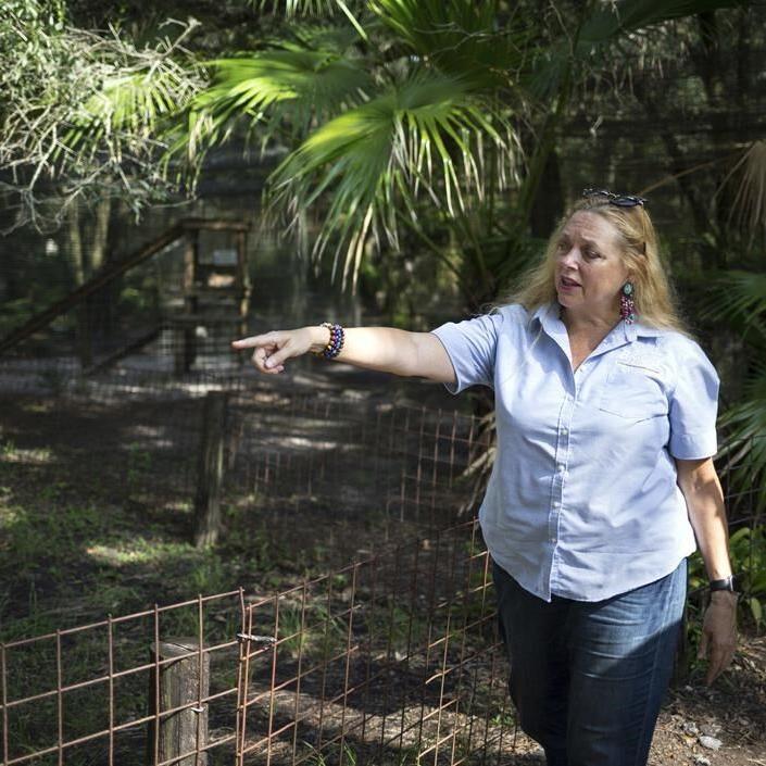 Tiger King's Carole Baskin asks Florida Supreme Court to review defamation lawsuit ruling